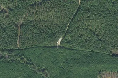 Camp site