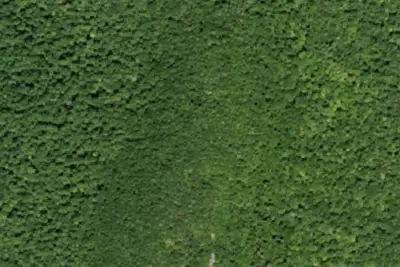 Camp site