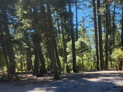 Host site at Apache CG