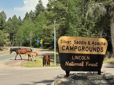 Main sign for Silver, Saddle and Apache campgrounds.