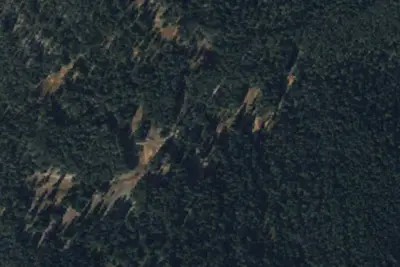 U.S. Forest Service Site 4