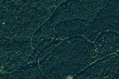 Rd 338 Site 5