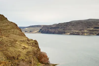 Columbia River at Ginkgo State Park