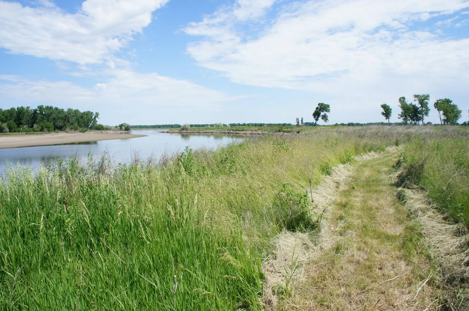 Bow Creek Primitive Camping
