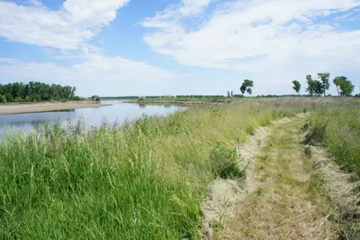 Bow Creek Primitive Camping