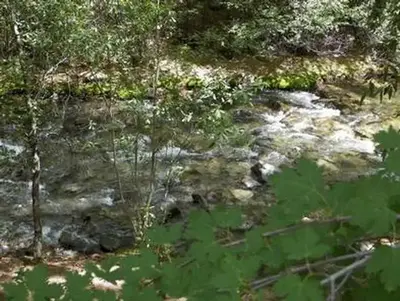 Chalk Creek