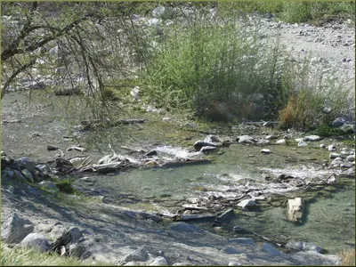 Lytle Creek, Mt Baldy 3-16-13j (8569743208)