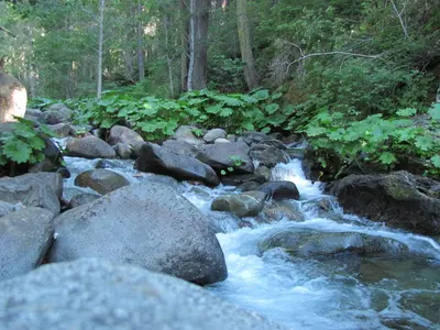 Along E Fork of N Fork of American River - panoramio