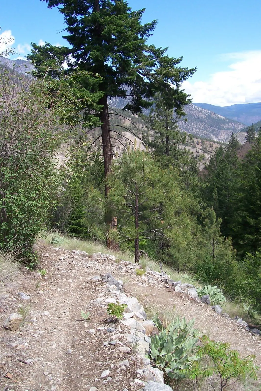 Photo of Skihist Park