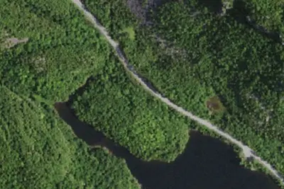 Camp site (NYSDEC)