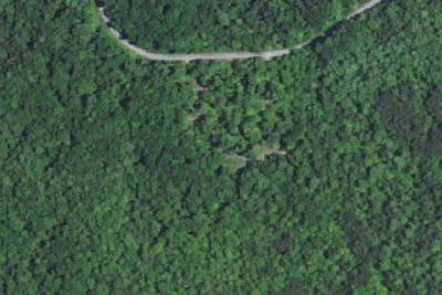 Maple Springs Group Campground
