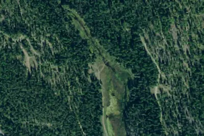 Dog Lake 2