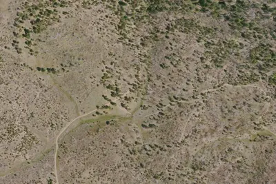 Wilson Camp