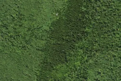 Camp site