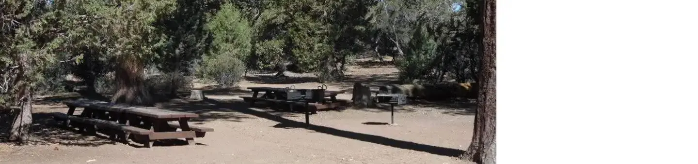 Picnic Tables and Group Fire Circle at Tanglewood Group Camp Sign