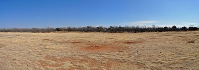 Caprock Canyons prairie dog town