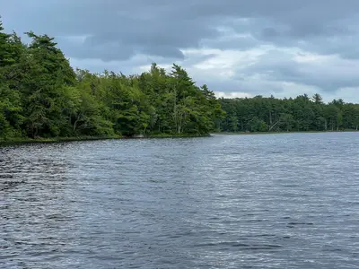 Kejimkujik Lake from Kedge Beach - Kejimkujik National Park
