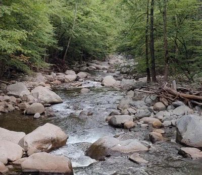 Big Creek Group Camp