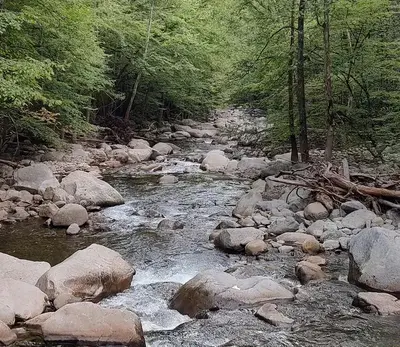 Big Creek Group Camp