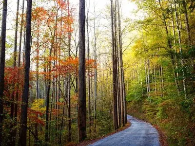Big Creek Rd