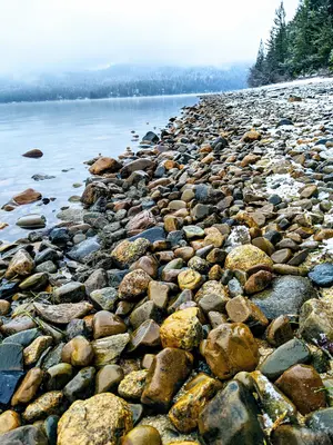 Priest Lake Shoreline (51814479738)