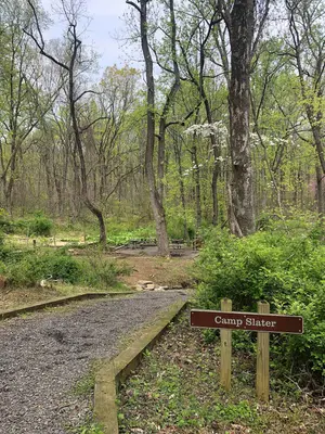 Slater (Sky Meadows State Park)