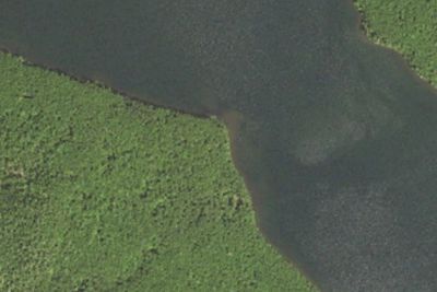 Rose Lake #2