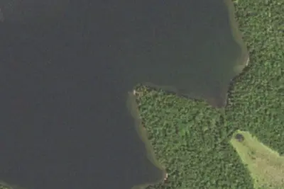 Pine Lake #10