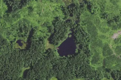 Beaver Pond Campsite