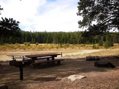 Campsite in Doyle Creek Campground