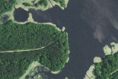 Kirby Lake Primitive