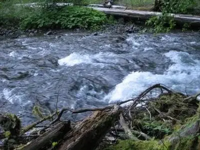 Beaver Campground