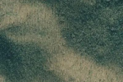 Camp site