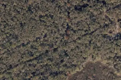 Hunt Camp 19