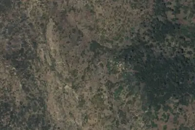 Camp site