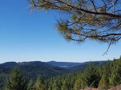 Pioneer Trail
