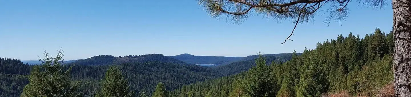 Pioneer Trail