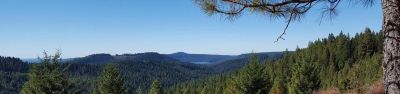 White Cloud Campground
