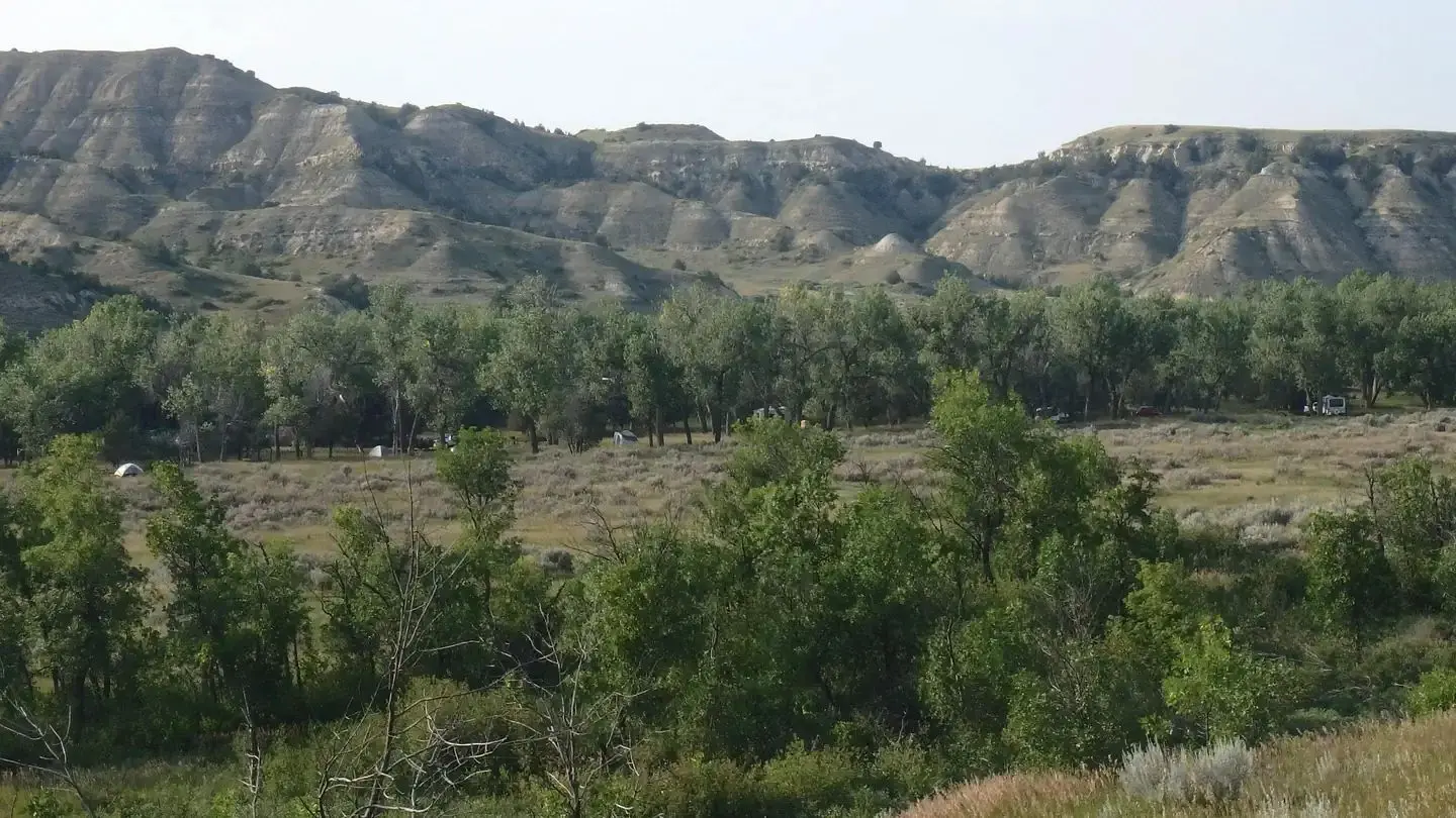 View of Cottonwood Campground from the main park road.  There are buttes in the background with a large stand of cottonwoods and a field in between.
