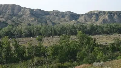 Cottonwood Campground (ND)