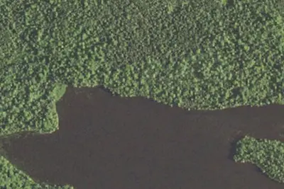 Rice Lake Site 1