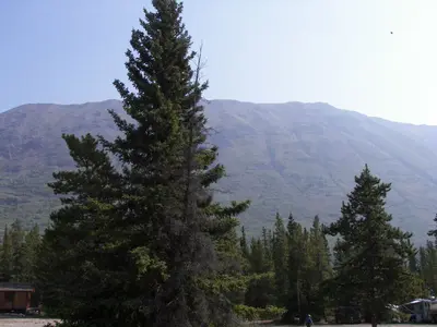 Caribou Mountain from Spirit Lake Wilderness Resort, Yukon