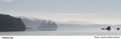 Willapa bay - Willapa NWR