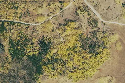 Camp site