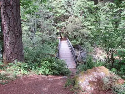 Bridge to Brice Creek Trail