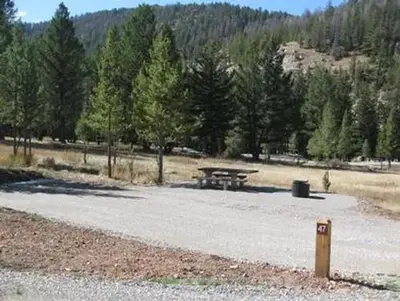 Campsite surrounded by pine trees,  picnic table & fire ring