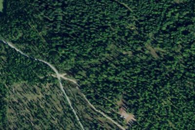 Patrick Creek Dispersed Site 3
