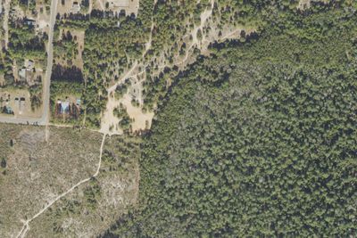 Wild Azalea Campsite