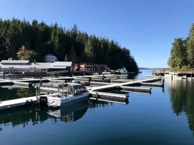 Looking across the harbor (48822659112)
