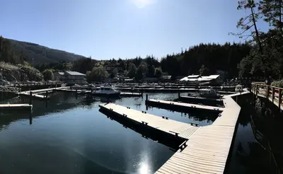 The entire town and marina (48822659402)